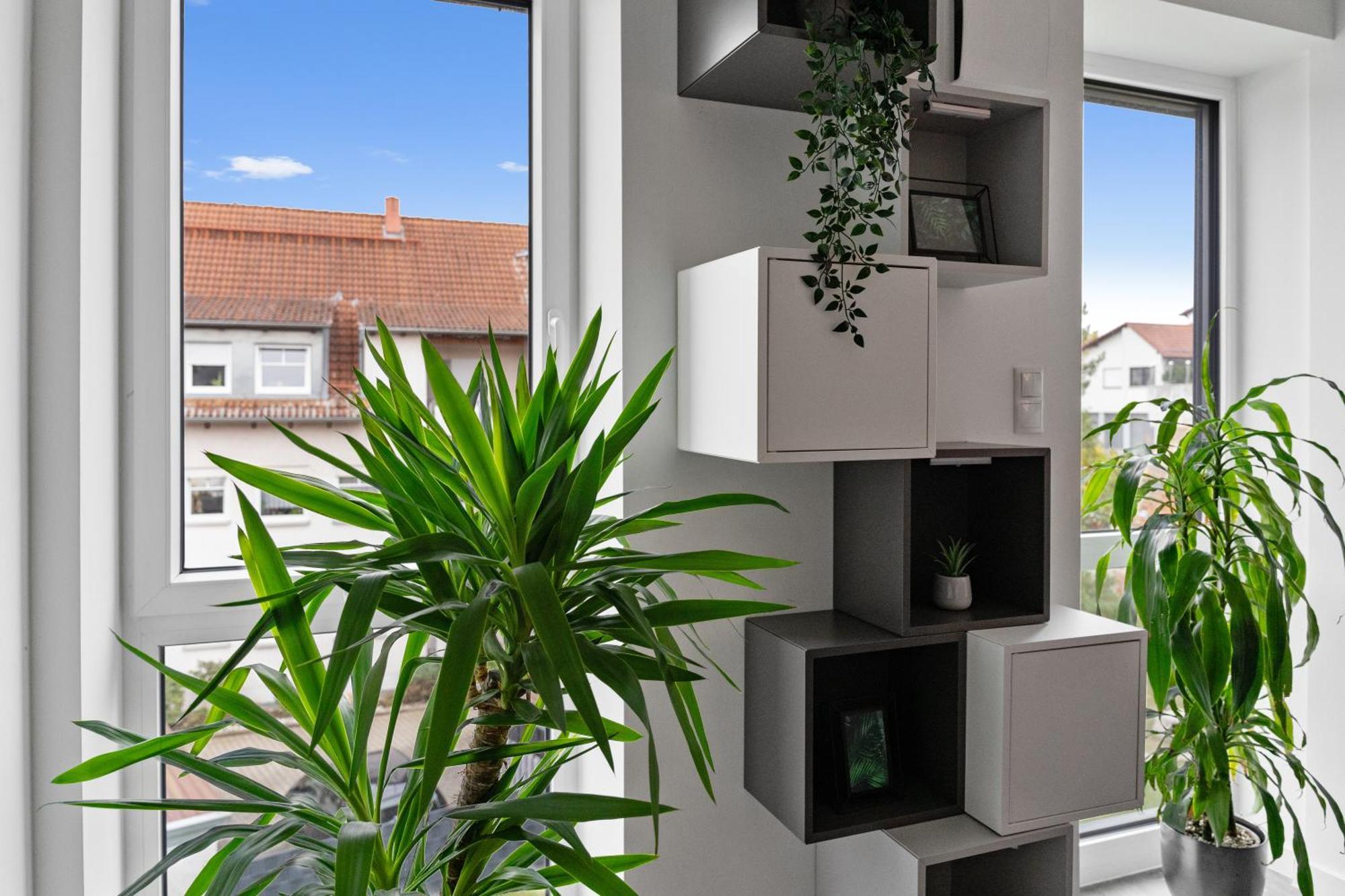 Modern Style Business Suite - Office - Kitchen - Balcony هيرتسوجيناوراخ المظهر الخارجي الصورة
